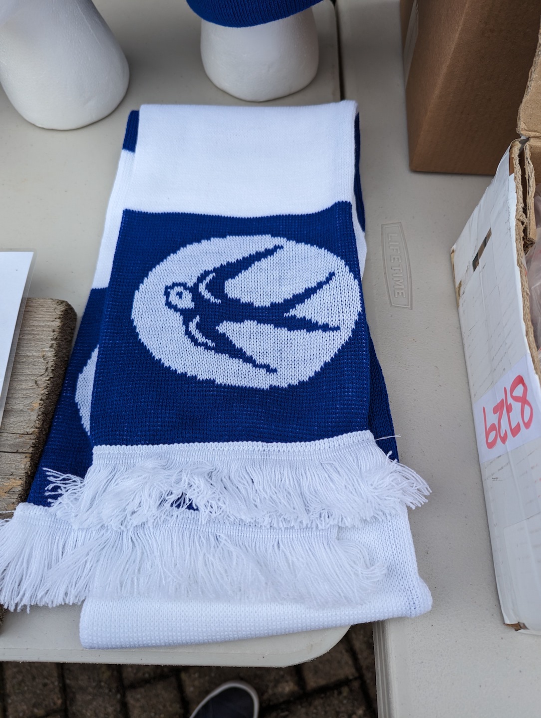 Bluebird Scarf